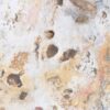 Couchtisch versteinertes Holz 43264