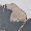 Couchtisch versteinertes Holz 43304