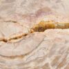 Couchtisch versteinertes Holz 43326