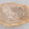 Mesa de centro madera petrificada 43203