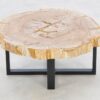 Mesa de centro madera petrificada 43243