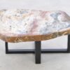Mesa de centro madera petrificada 43264