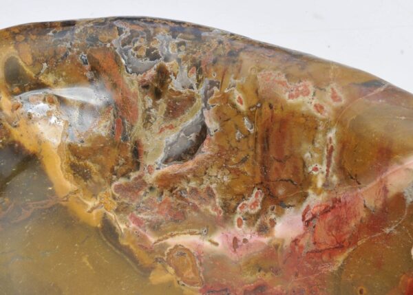 Bowl petrified wood 43034