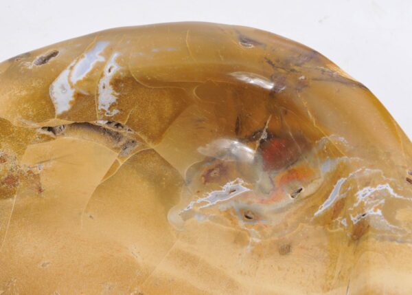 Bowl petrified wood 43037