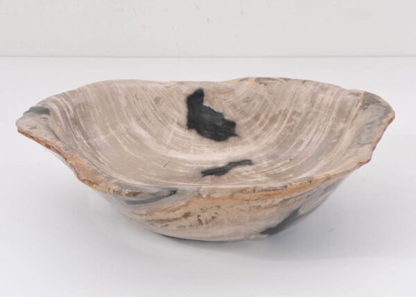 Bowl petrified wood 43059