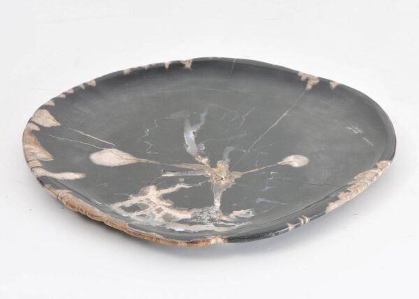 Plate petrified wood 43067a