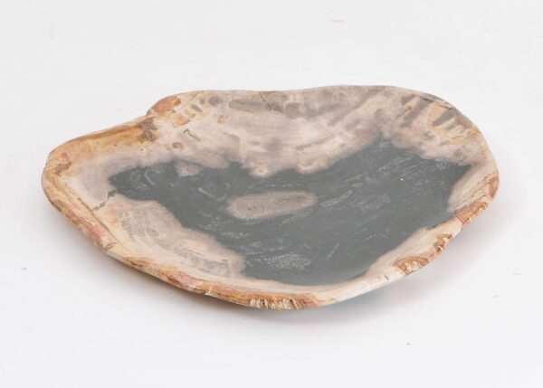 Plate petrified wood 43068i