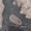 Plate petrified wood 43068i