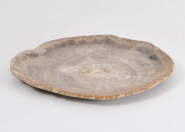 Plate petrified wood 43071g