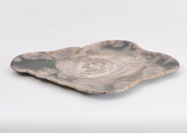 Plate petrified wood 43073a