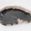 Plate petrified wood 43074b