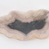 Plate petrified wood 43074i