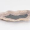 Plate petrified wood 43074i