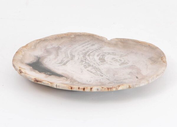 Plate petrified wood 43076a
