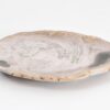 Plate petrified wood 43076f