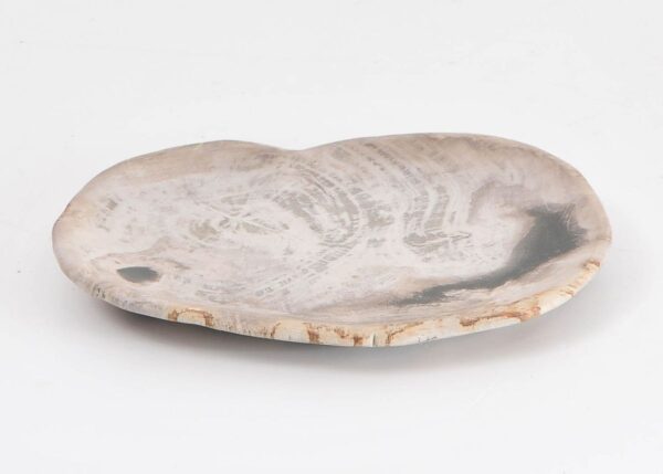 Plate petrified wood 43076g