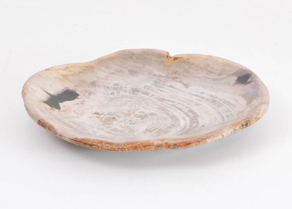 Plate petrified wood 43076j