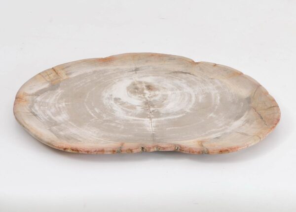 Plate petrified wood 43077a