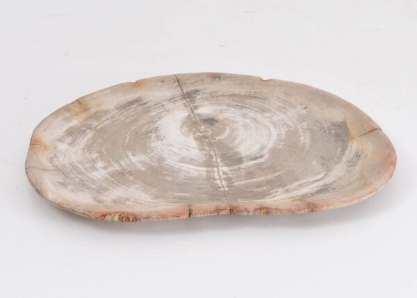 Plate petrified wood 43077b