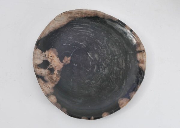 Plate petrified wood 43087