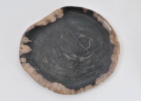 Plate petrified wood 43090