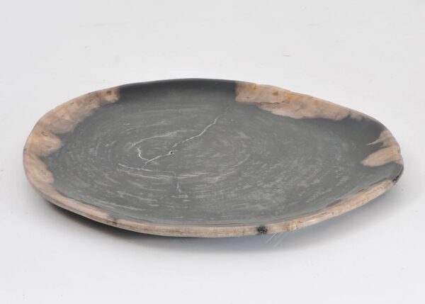 Plate petrified wood 43092