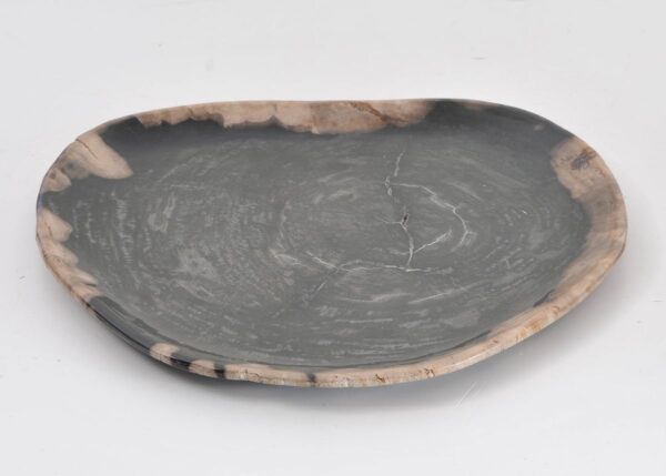 Plate petrified wood 43094