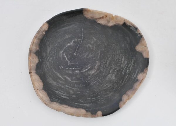Plate petrified wood 43095