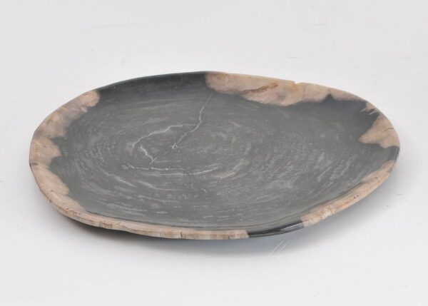 Plate petrified wood 43095