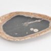 Plate petrified wood 43105
