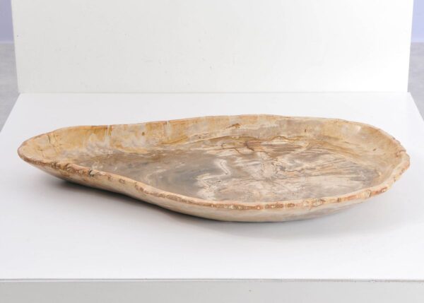 Plate petrified wood 43119