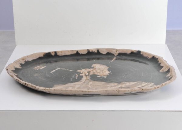 Plate petrified wood 43124