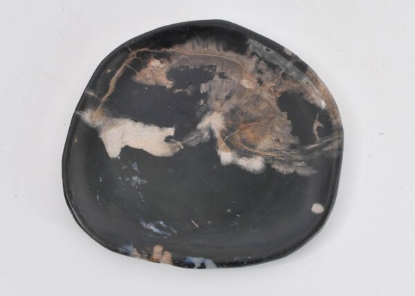 Plate petrified wood 43125e