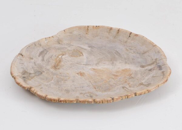 Plate petrified wood 43125h