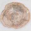 Plate petrified wood 43388j
