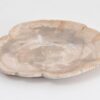 Plate petrified wood 43388j