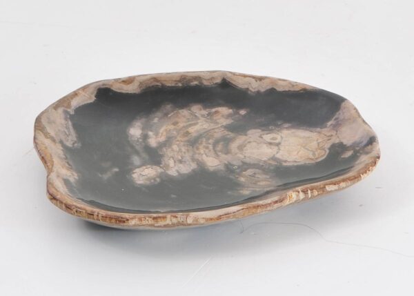 Plate petrified wood 43388t