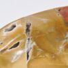 Bol madera petrificada 43038