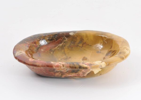 Bol madera petrificada 43039