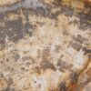Plato madera petrificada 43068f