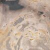 Plato madera petrificada 43068h