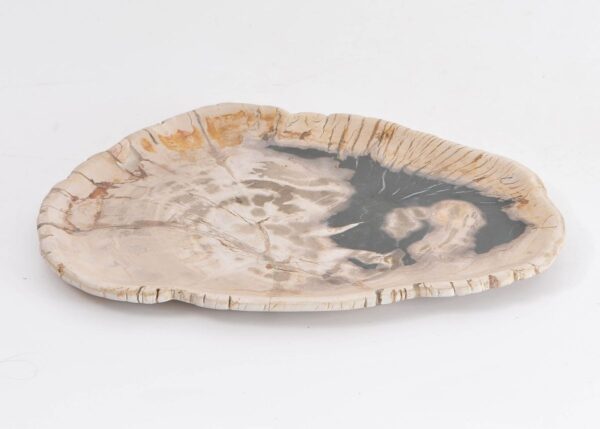 Plato madera petrificada 43069a