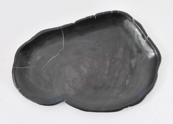 Plato madera petrificada 43070o