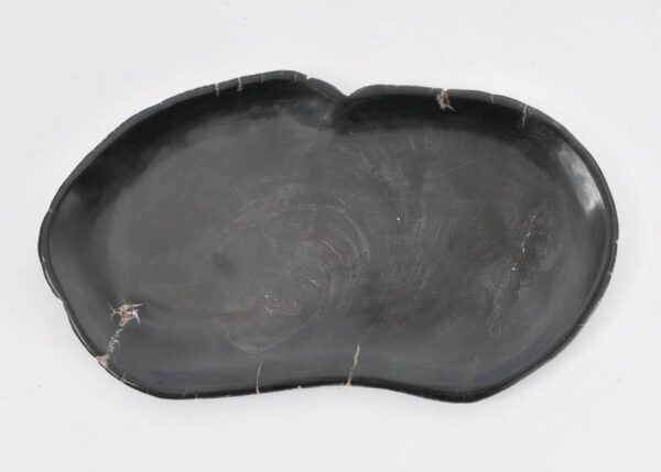 Plato madera petrificada 43070v
