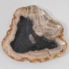 Plato madera petrificada 43071s