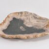Plato madera petrificada 43071s