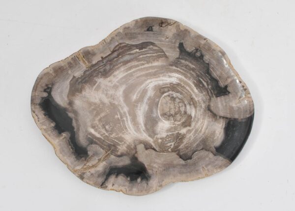 Plato madera petrificada 43073f