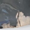 Plato madera petrificada 43074b