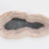Plato madera petrificada 43074e