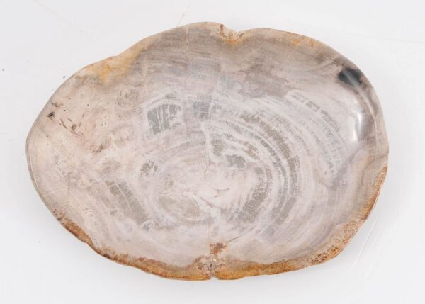 Plato madera petrificada 43076k